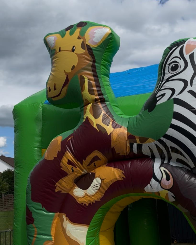 safari closeup